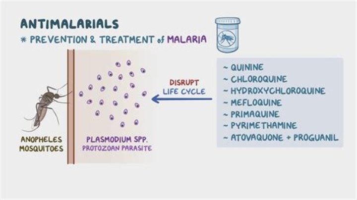 For which parasite is an antimalarial drug indicated?