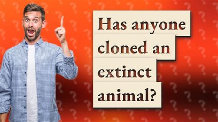 Has anyone cloned an extinct animal?